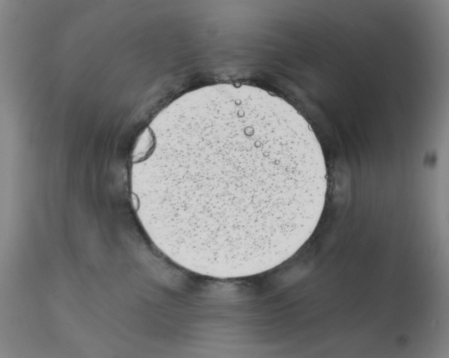X0000113200523200910221043