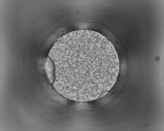 X0000113200525200910221043