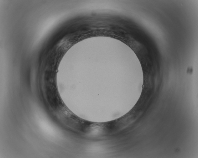 X0000113200526200910221043