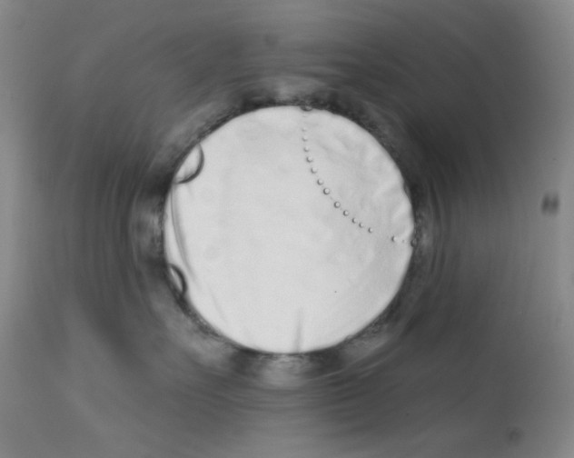 X0000113200527200910221043