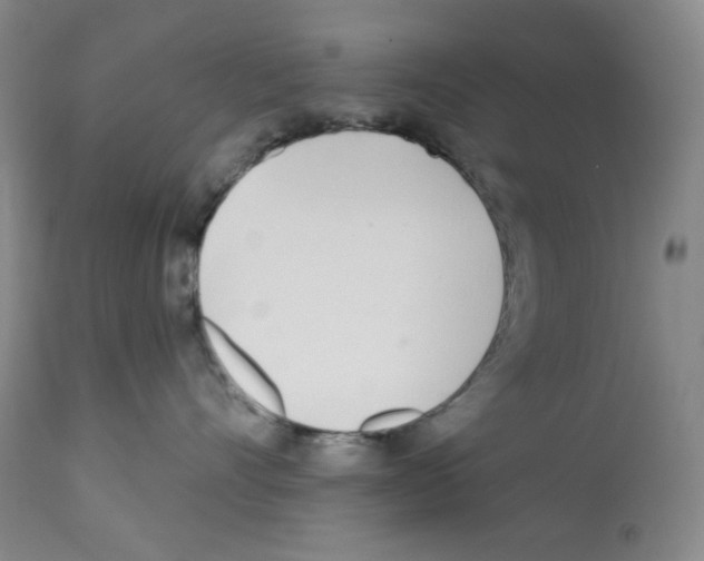 X0000113200528200910221043