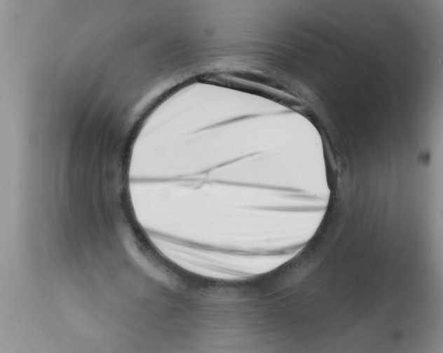 X0000113200530200910221042