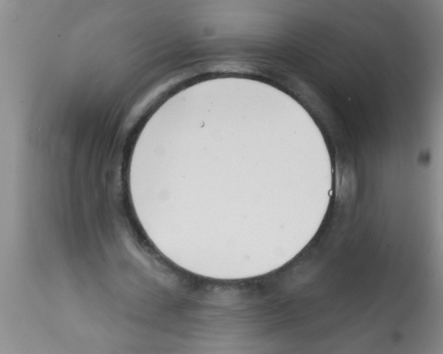 X0000113200531200910221042