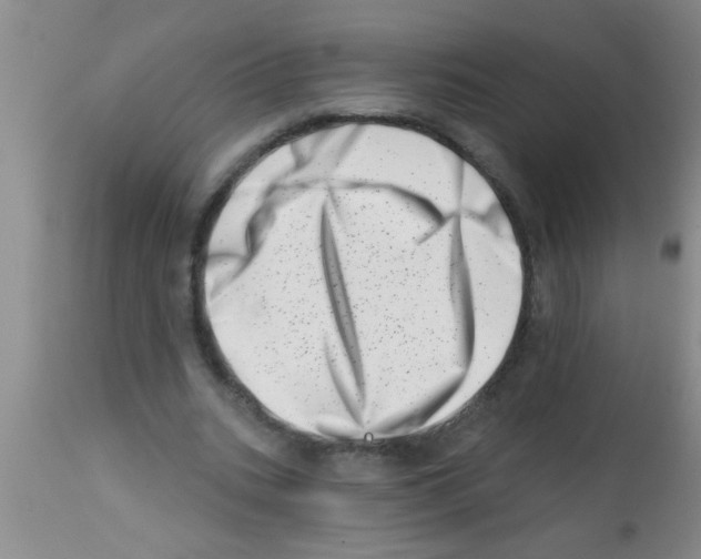 X0000113200535200910221042