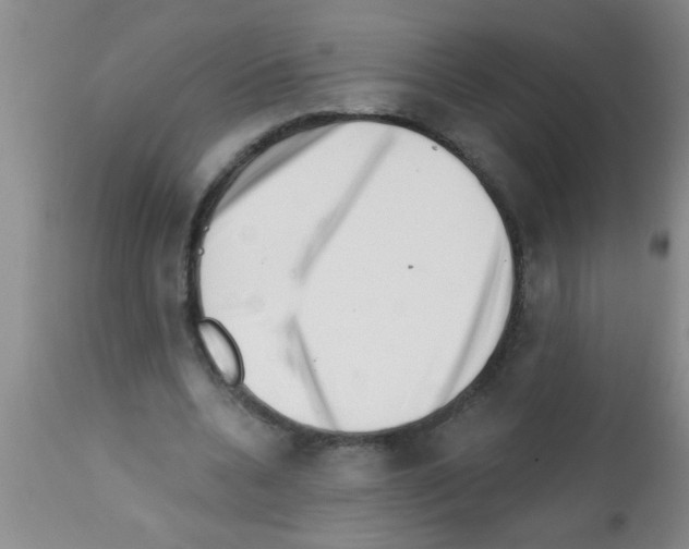 X0000113200536200910221042