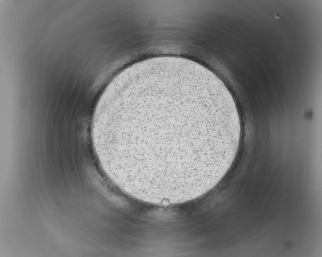 X0000113200537200910221042