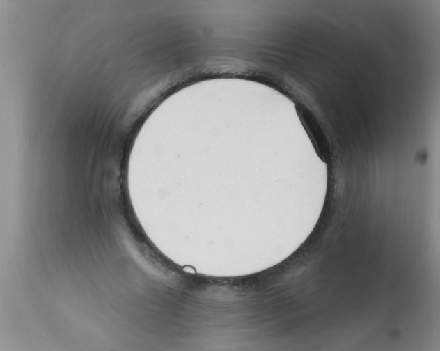 X0000113200538200910221042