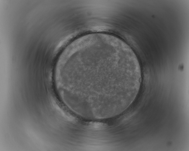 X0000113200539200910221042