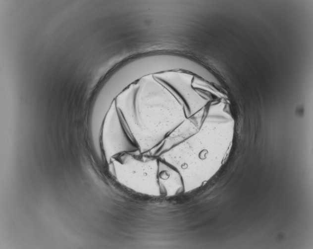 X0000113200540200910221042