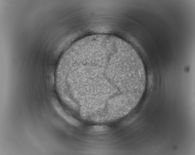 X0000113200541200910221042
