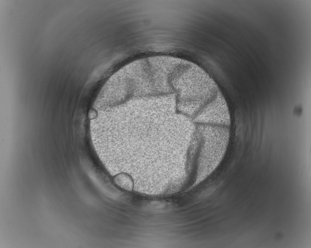 X0000113200542200910221042