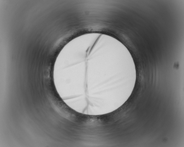X0000113200543200910221042