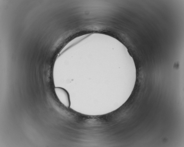 X0000113200544200910221042