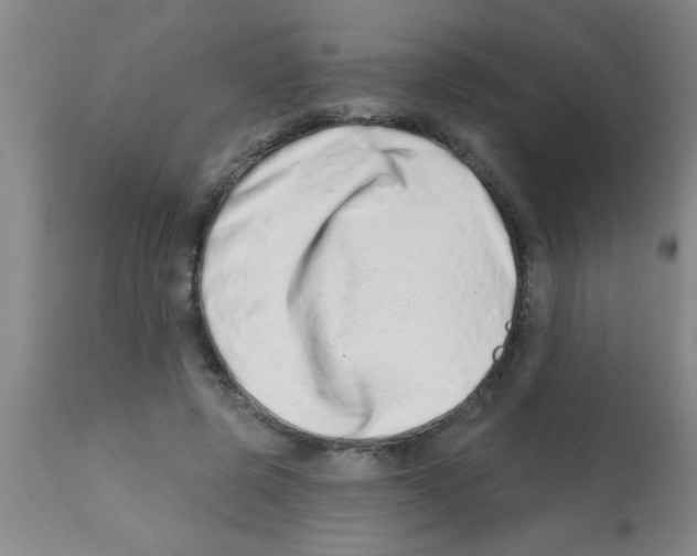 X0000113200545200910221042