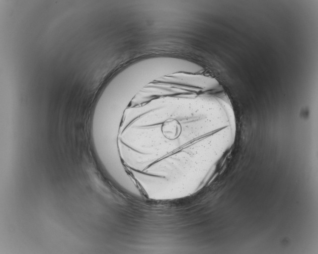 X0000113200546200910221042