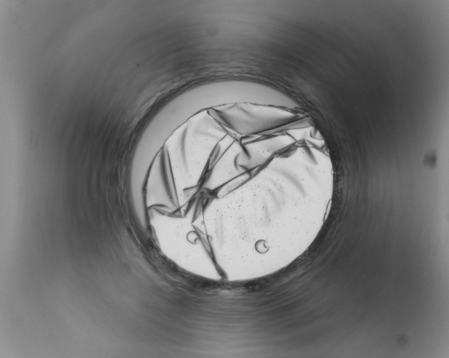 X0000113200548200910221042