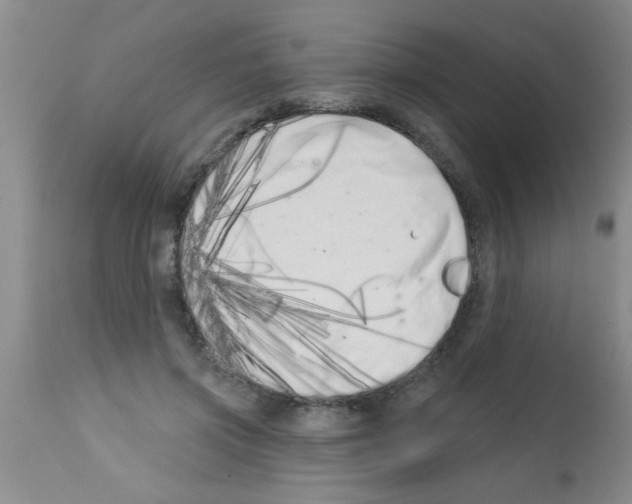 X0000113200549200910221042