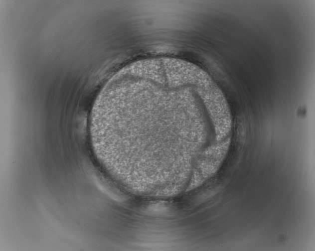 X0000113200550200910221042