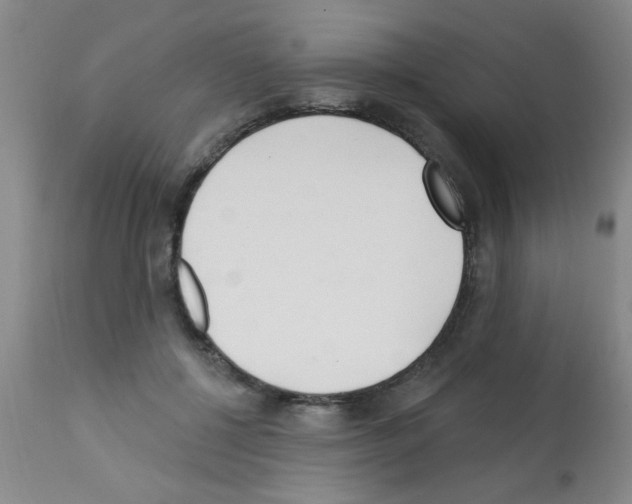 X0000113200552200910221042