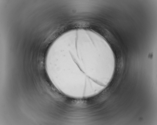 X0000113200553200910221042