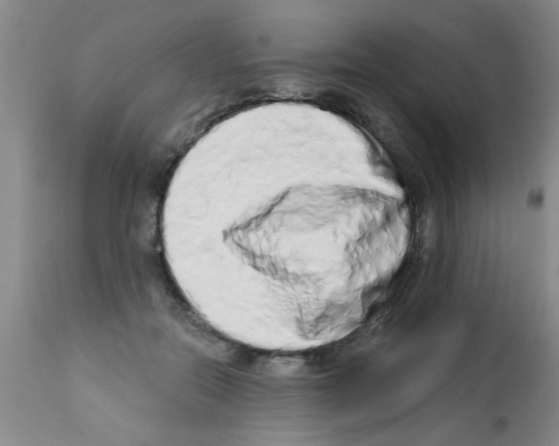 X0000113200554200910221042
