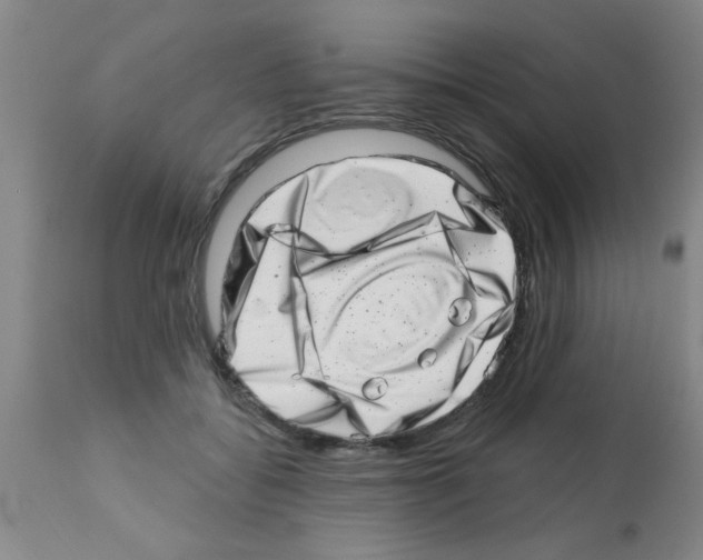 X0000113200556200910221042