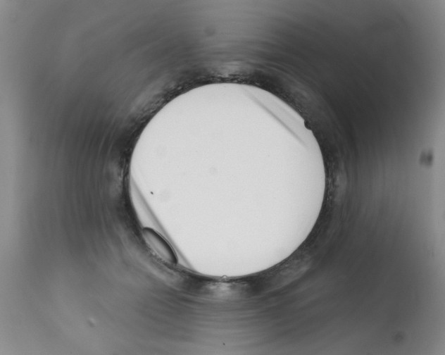 X0000113200558200910221042