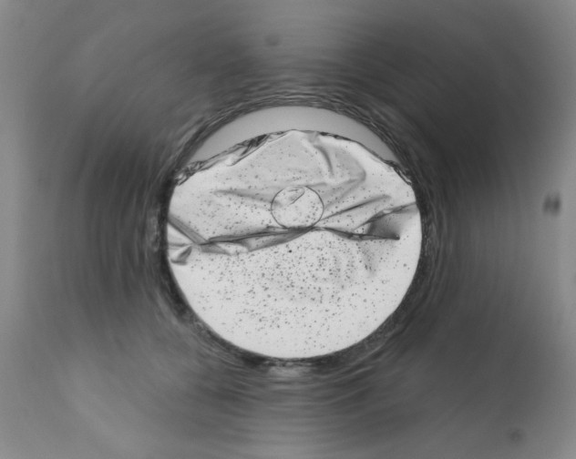 X0000113200560200910221042