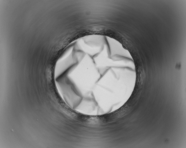 X0000113200562200910221042