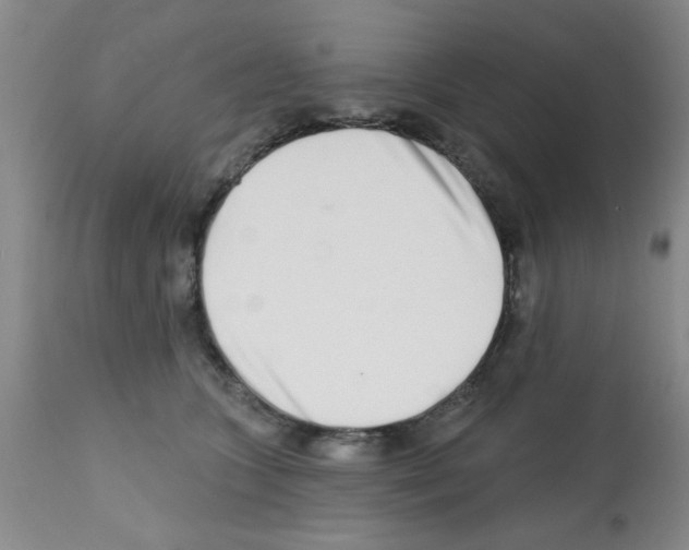 X0000113200563200910221042