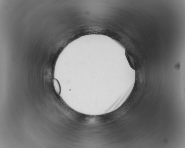 X0000113200564200910221042