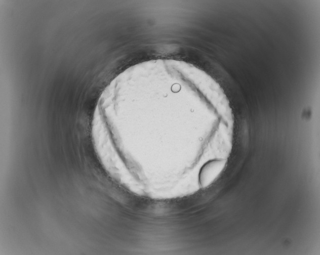 X0000113200565200910221042