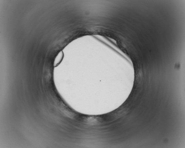 X0000113200566200910221042