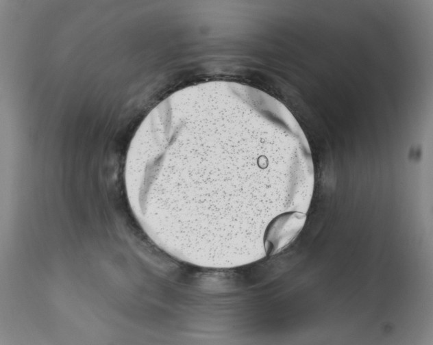X0000113200567200910221043