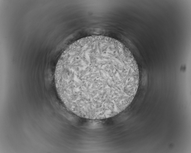 X0000113200569200910221043