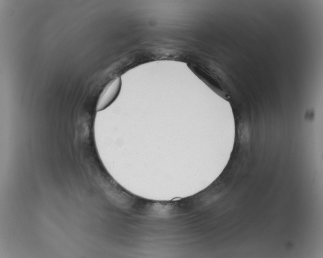 X0000113200570200910221043