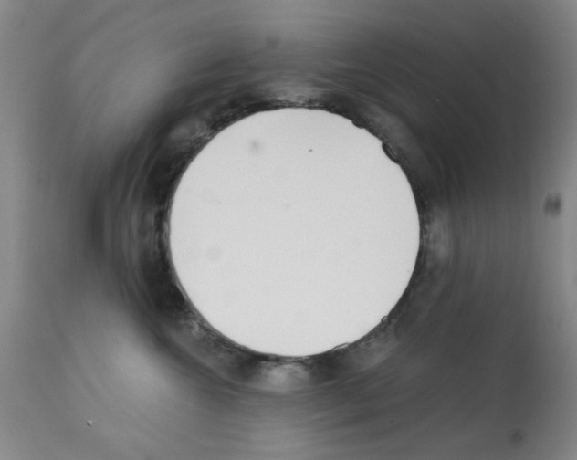 X0000113200572200910221043