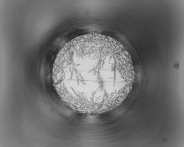 X0000113200573200910221043