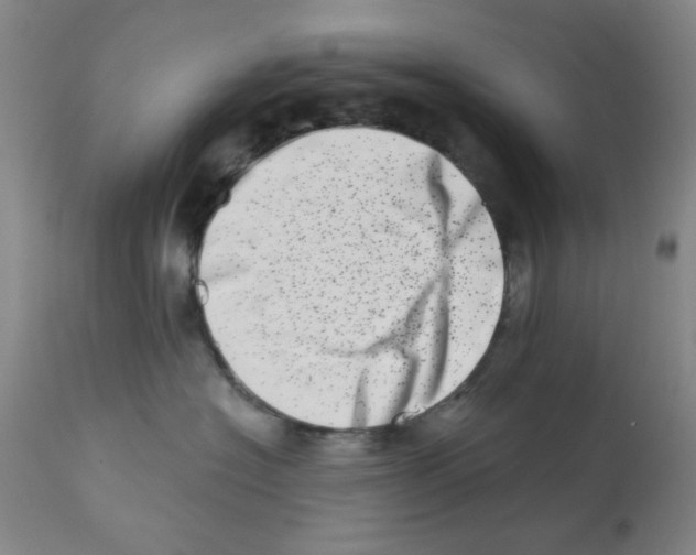 X0000113200574200910221043