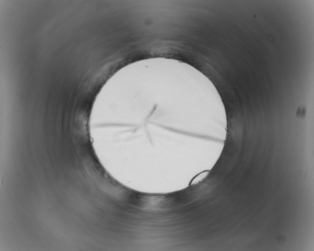 X0000113200575200910221043