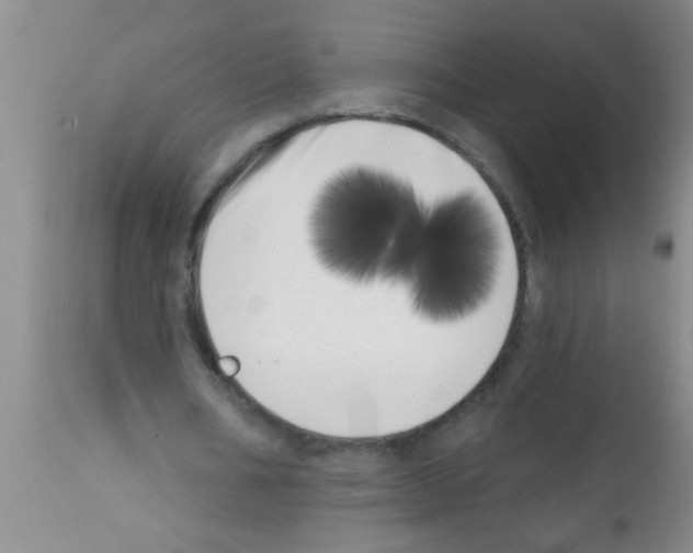 X0000113200578200910221042