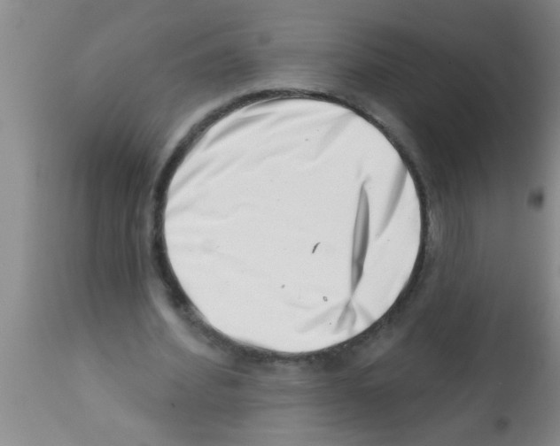 X0000113200580200910221042