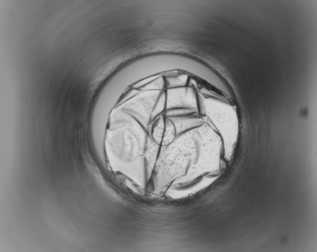 X0000113200581200910221042