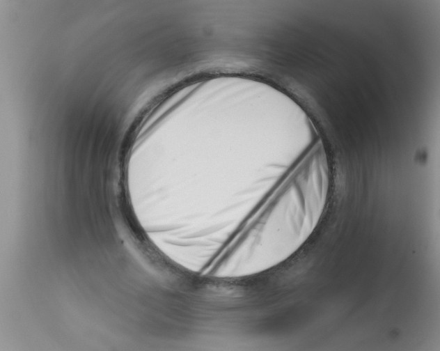 X0000113200582200910221042
