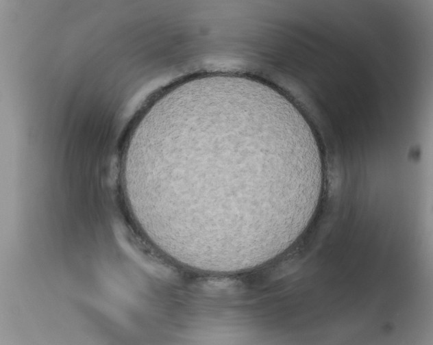X0000113200583200910221042