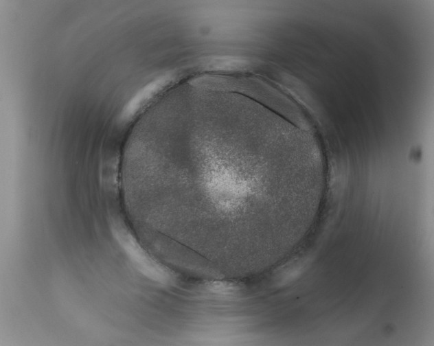 X0000113200585200910221042