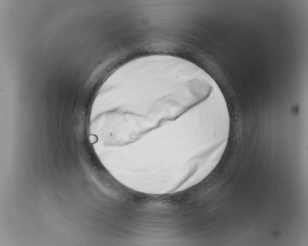 X0000113200586200910221042