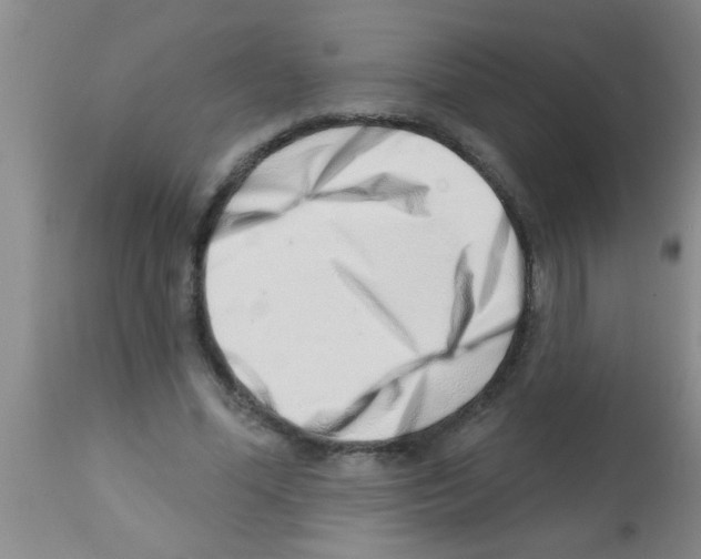 X0000113200588200910221042