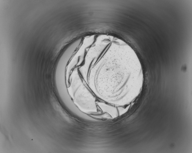 X0000113200589200910221042