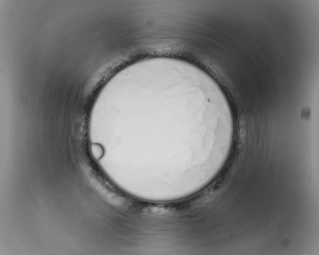 X0000113200590200910221042